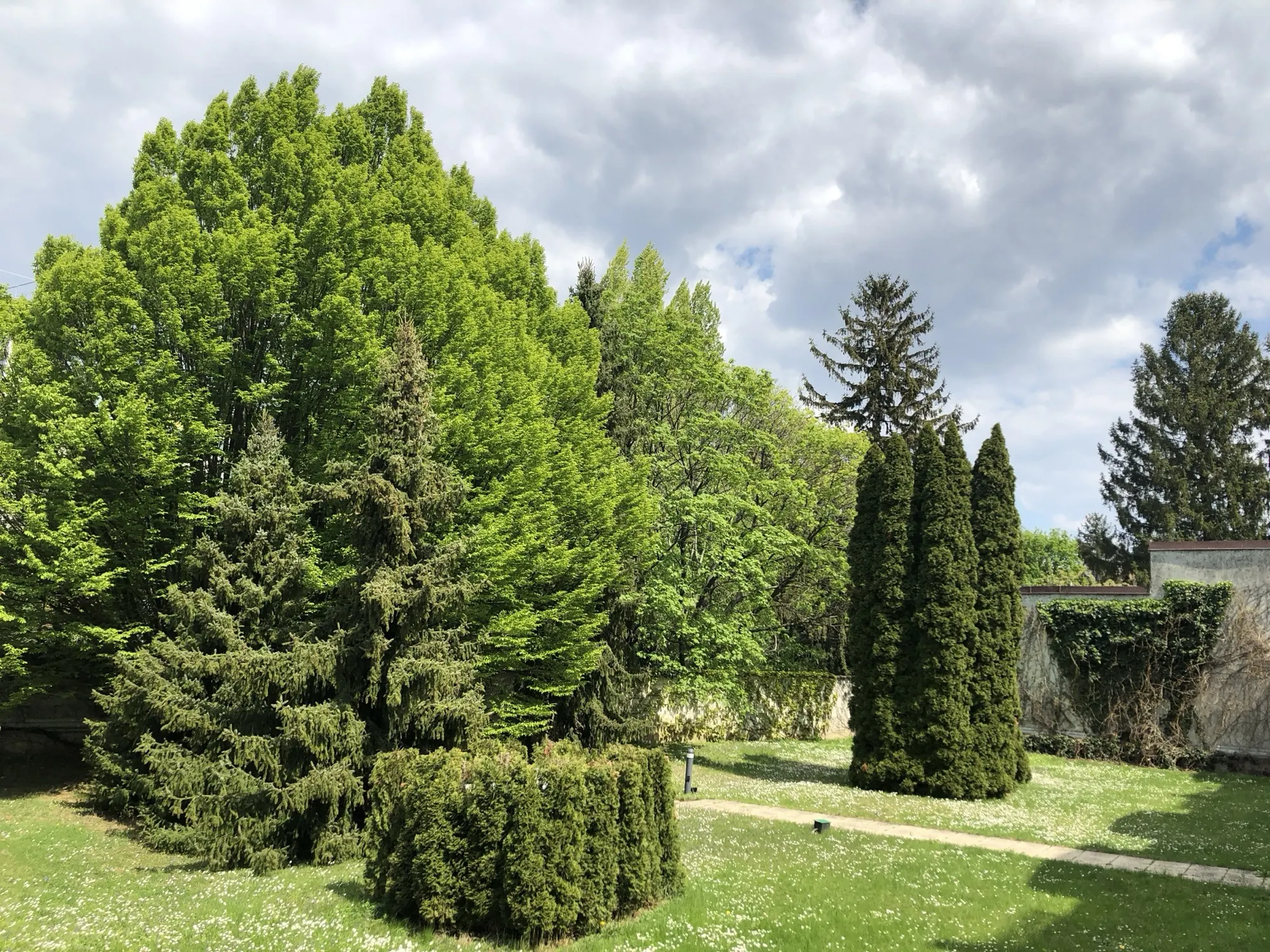 Die Parklandschaft, fotografiert