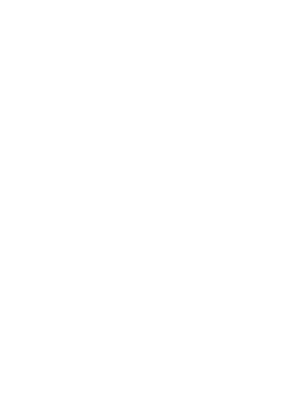 YOLO Architecture